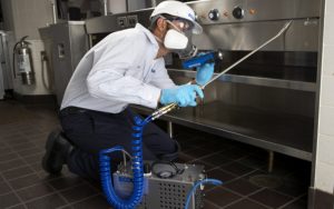 pest control for restaurant owners image